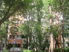 Berceni, Alexandru Obregia